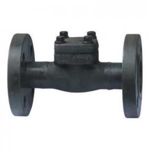 Flange forged steel swing check valve