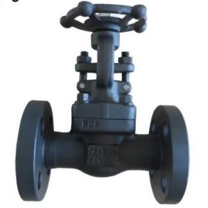 Forged A105 Gate valve flanged end