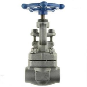 F304 F316 F304L F316L Forged Gate Valve