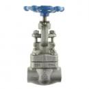 F304 F316 F304L F316L Forged Gate Valve