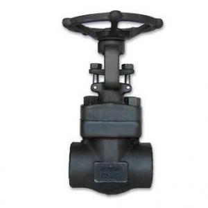 Forged Steel Threaded NPT Gate Valve