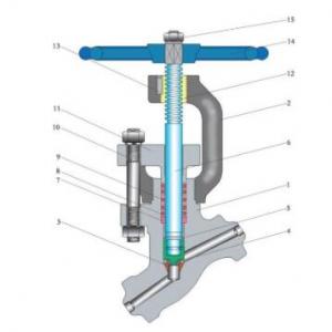 4500LB Y pattern globe valve