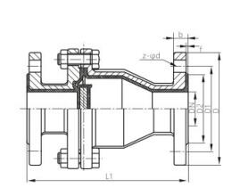 PTFE FEP PFA lined swing check valve