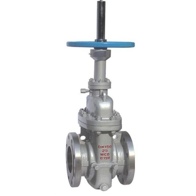 Carbon steel slab gate valve