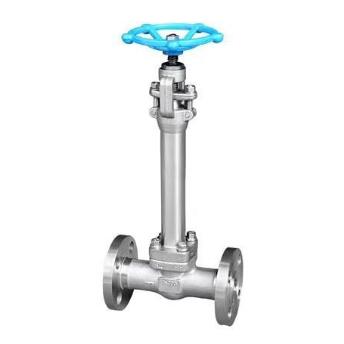 Flange end cryogenic gate valve