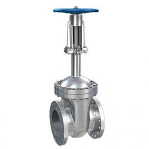 Flange end cryogenic gate valve