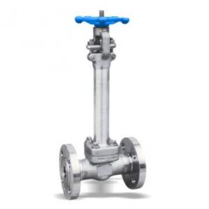 Stainless steel cryogenic gate valve