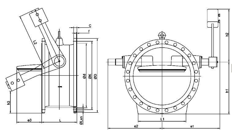 Butterfly Check Valve with Hydraulic Counter Weight structure