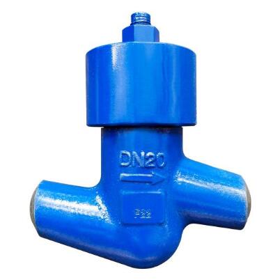 H61Y Boiler steam check valve