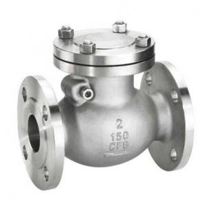 2 Inch 50mm DN50 swing check valve