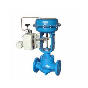 Pneumatic single seated control valve