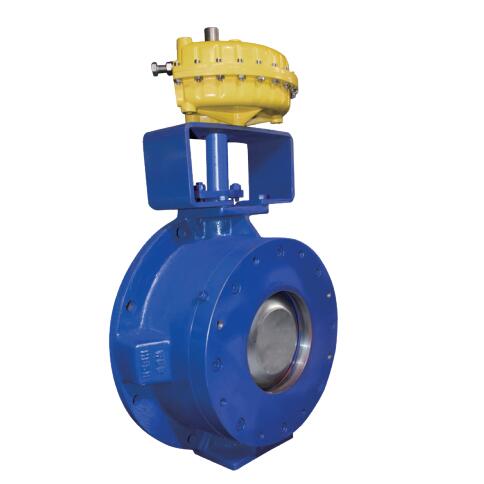 China dome valve manufacturer