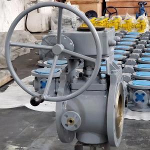 2 Way fully jacketed plug valve