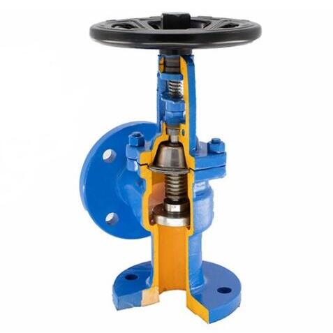 WJ44H Bellow seal angle globe valve