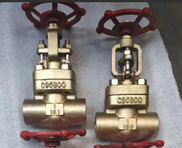 C95800 Aluminum Bronze globe valve