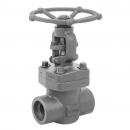 Welded end forged steel globe valve