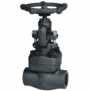 Forged steel globe valve Class 800