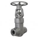 Forged steal globe valve Class 2500