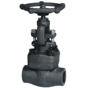 Forged steel globe valve Class 800