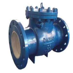 Ceramic lined swing check valve