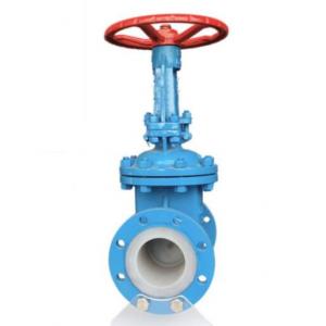 PFA PTFE Lined gate valve manufacturer