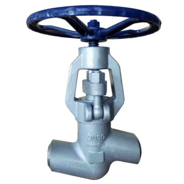 High temperature globe steam valve