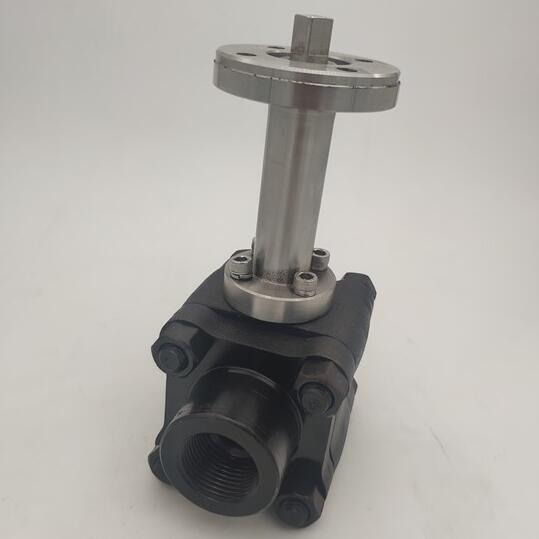 Cryogenic forged steel ball valve Class 800 900