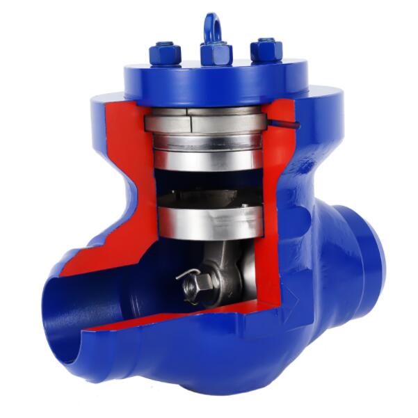 Class 1500 High pressure check valve