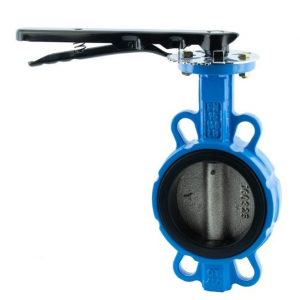 Single eccentric butterfly valve