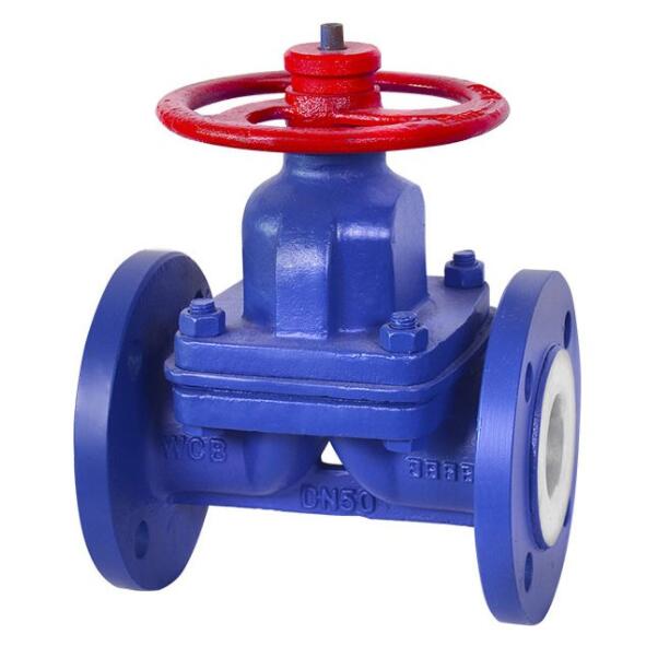 EG41F46 FEP Lined diaphragm valve