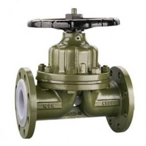 EG41F46 FEP Lined diaphragm valve