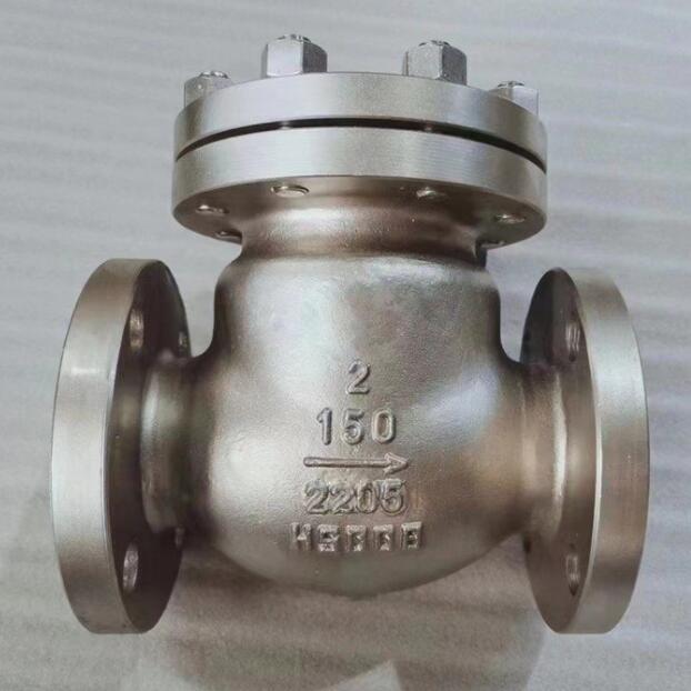 Duplex Stainless Steel 2205 Check Valve