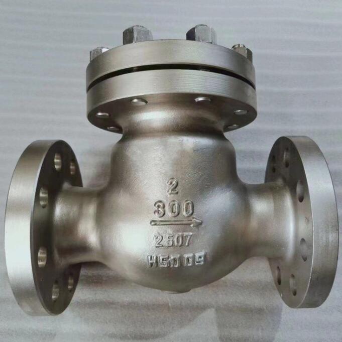 Super Duplex Steel 2507 Check Valve