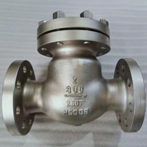 Duplex Stainless Steel 2205 Check Valve