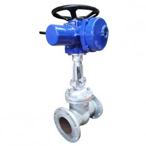 Multi-Turn Motorized Control Gate Valve