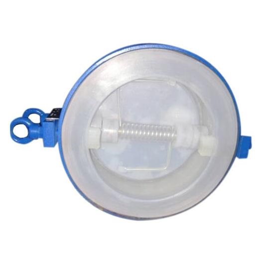 Double Disc PTFE FEP PFA Lined Check Valve