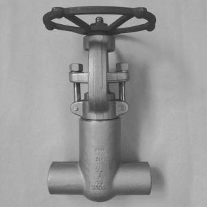 Pressure Seal Globe Valve Class 2500