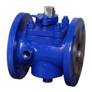 Steam Jacketed Plug Valve