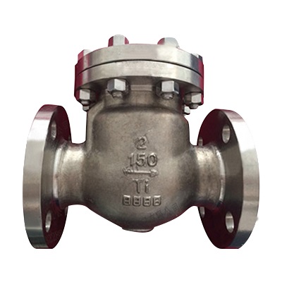 China Titanium Swing Check Valve