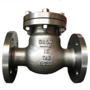 China Titanium Swing Check Valve