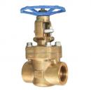 C95800 Nickel Aluminum Bronze gate valve