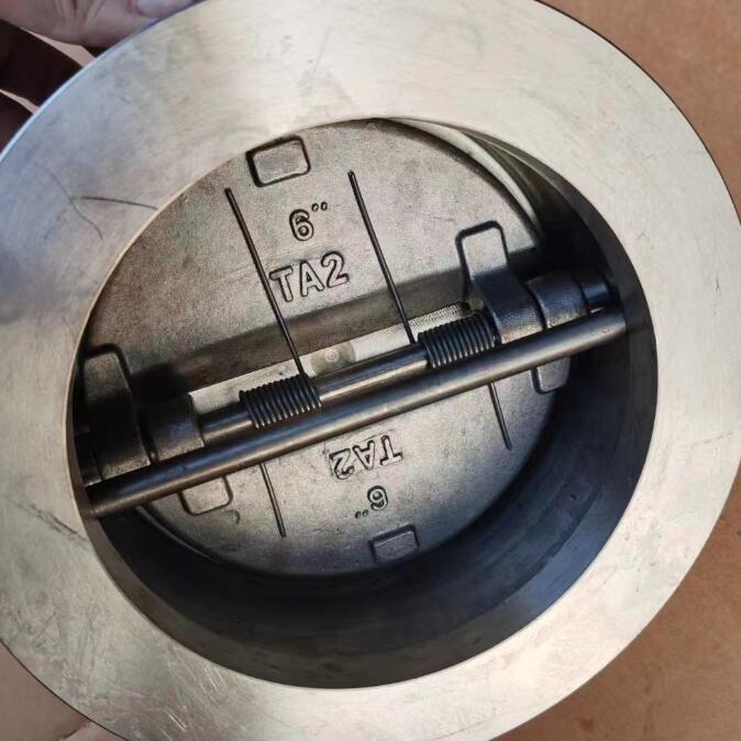 Dual Plate Wafer Titanium Check Valve