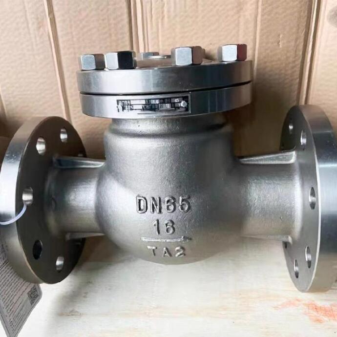 Titanium Alloy Swing Check Valve