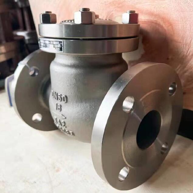 Titanium Swing Check Valve Manufacturer