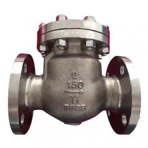 Titanium Alloy Swing Check Valve