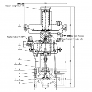 ZZYVP Nitrogen Gas Pressure Regulator