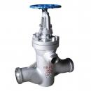 H61Y 4 way outlet check valve