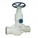 H62Y 4 way outlet globe check valve